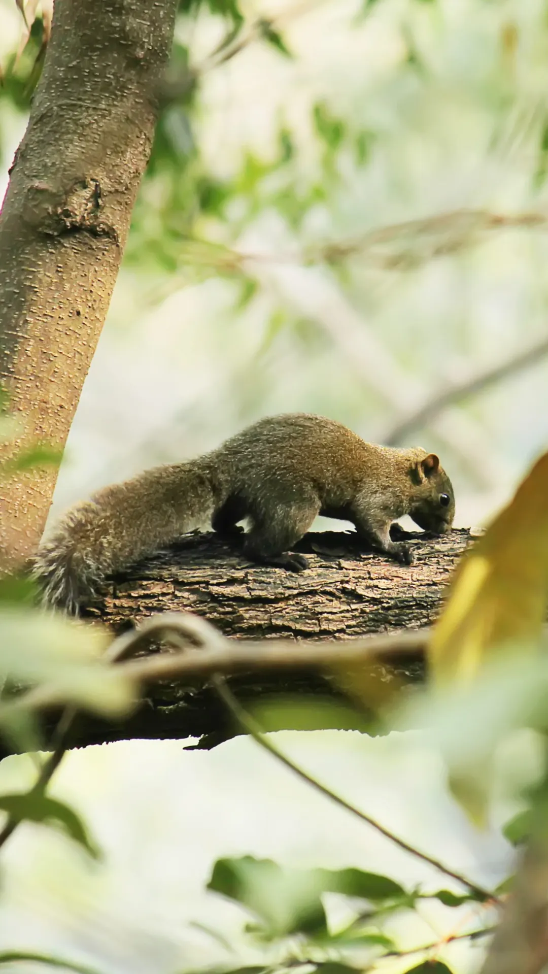 2026年上海阿德科特秋季招生简章！