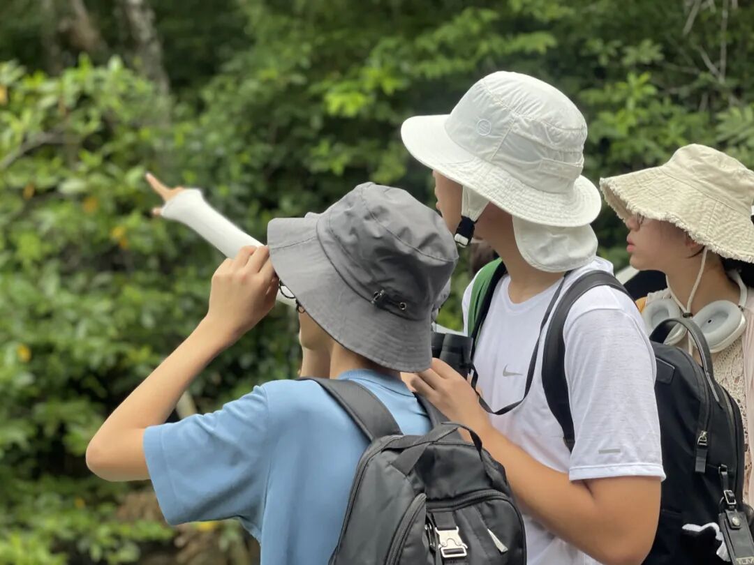 【已成团】兰卡威：登上马来西亚海岛，参与野生海豚一线保护工作!