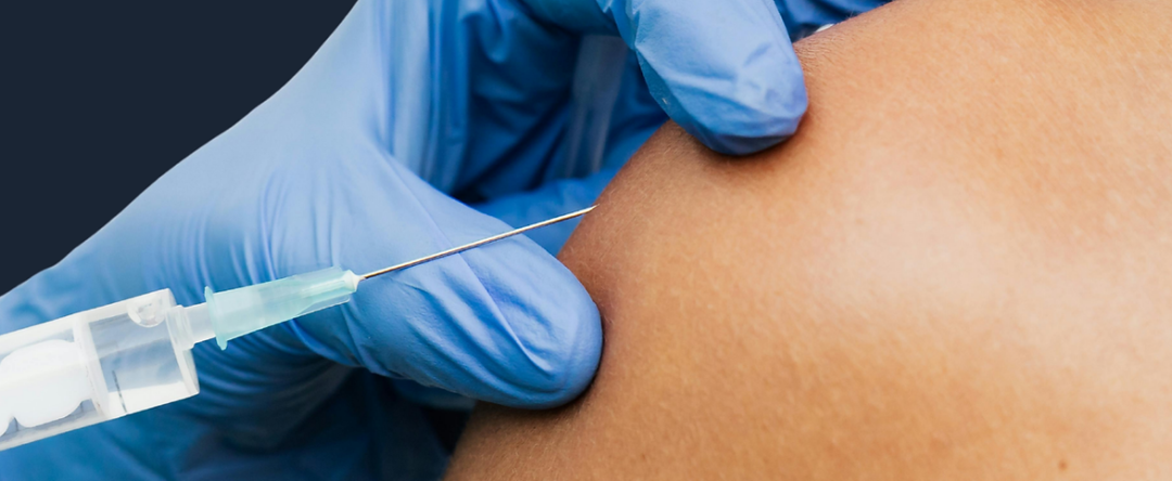 2026 John Locke写作竞赛全解析！带你深度解读获奖趋势和选题策略，高效备赛！