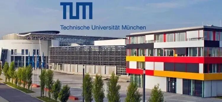 德国慕尼黑工业大学植物科学系PhD博士招生中！（导师Prof. Schwechheimer）