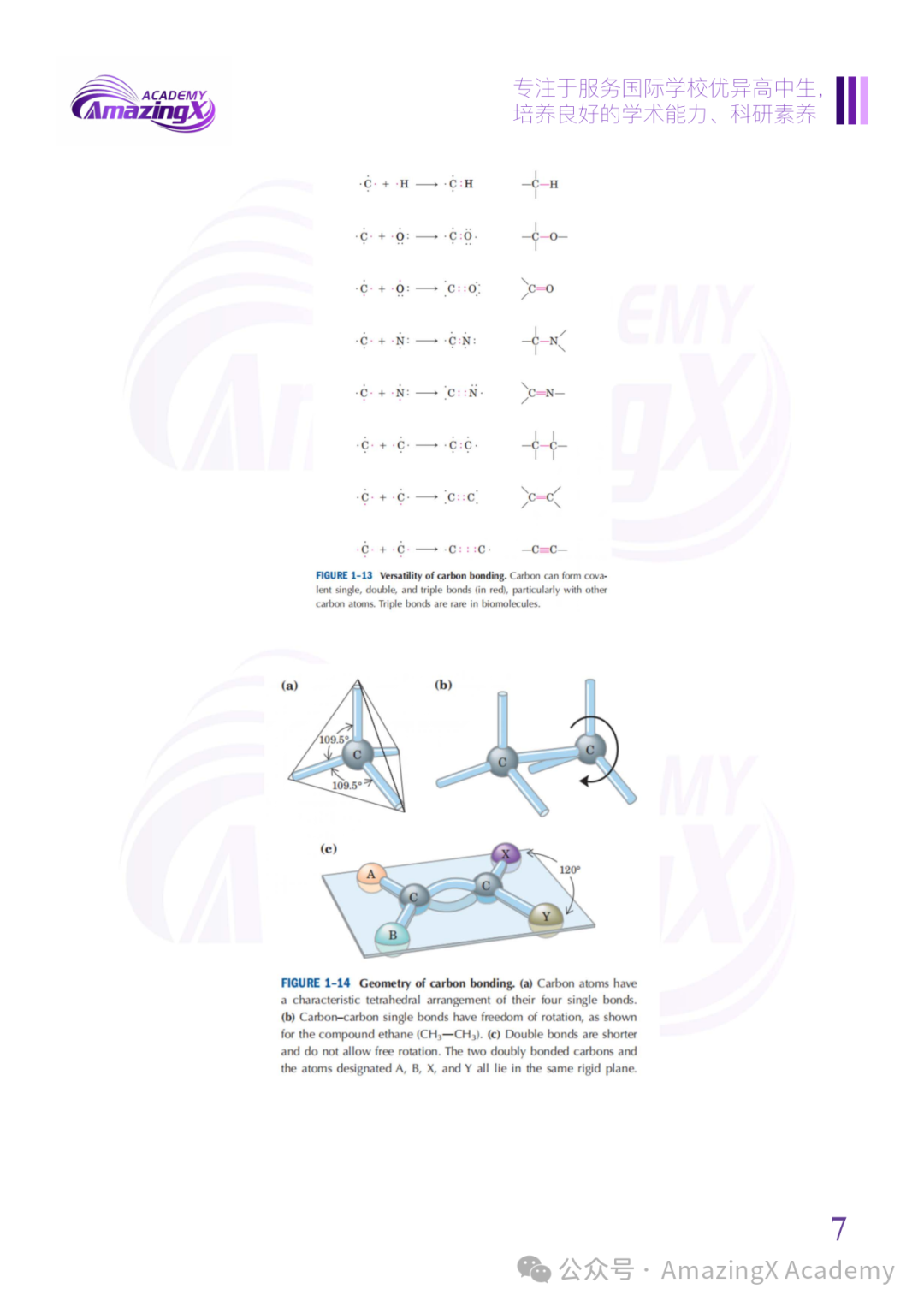 【收藏】2026年USABO生物竞赛超全冲奖备战指南:一篇搞定所有信息+备考方案! 【收藏】2026年USABO生物竞赛超全冲奖备战指南:一篇搞定所有信息+备考方案!