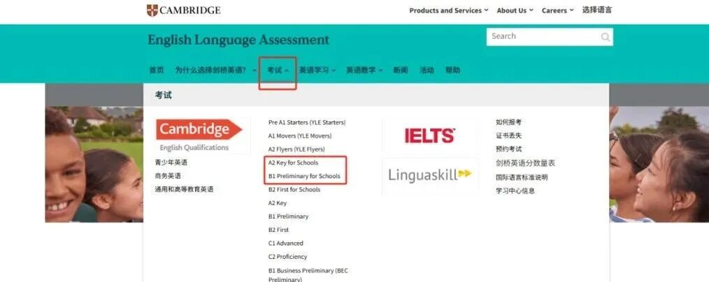 KET/PET考试报名流程，马上看懂！附KET培训线上辅导课程