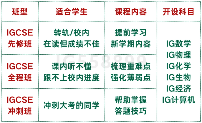 上海IGCSE寒假班开启 3-8人小班 夯实基础+冲刺提分一站搞定