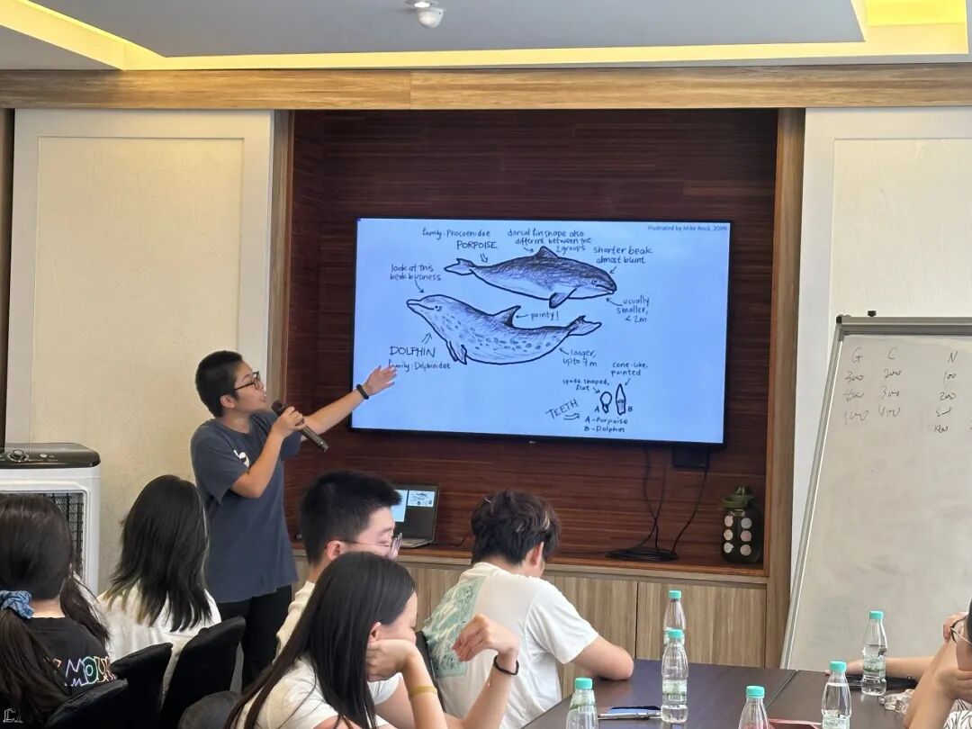 【已成团】兰卡威：登上马来西亚海岛，参与野生海豚一线保护工作!