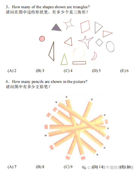 2026年袋鼠竞赛保姆级报名流程攻略！冲刺阶段请这样备考（附袋鼠竞赛历年真题）~