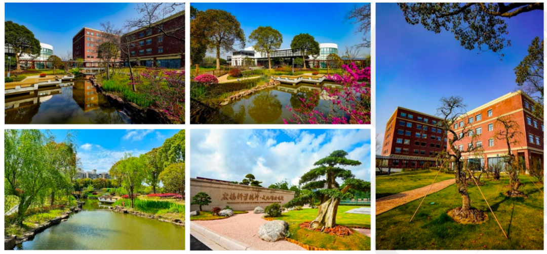 上海国际学校｜上海浦东新区民办宏文学校，揭秘民办宏文学校的“宝藏”之处！