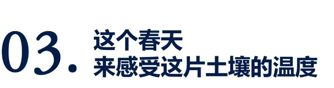 3.15 赫贤小初开放日｜这个春天，带孩子来一所充满“生命力”的学校走走