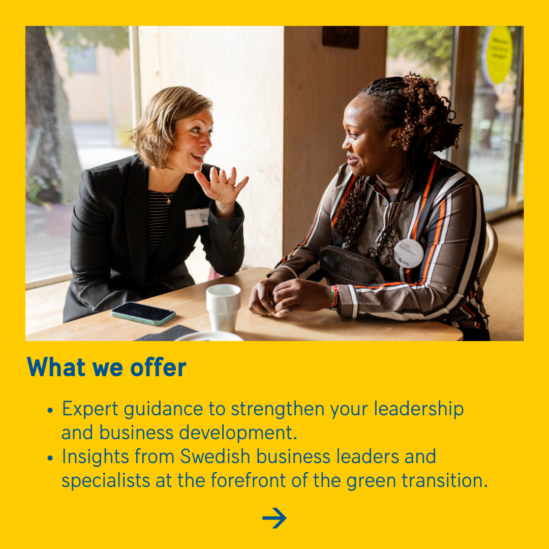 瑞典学院全球高管领导力项目 | 2026届开放申请