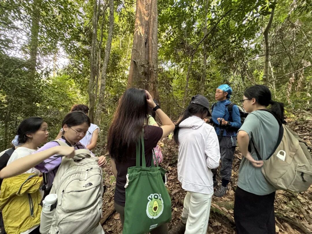 【已成团】兰卡威：登上马来西亚海岛，参与野生海豚一线保护工作!