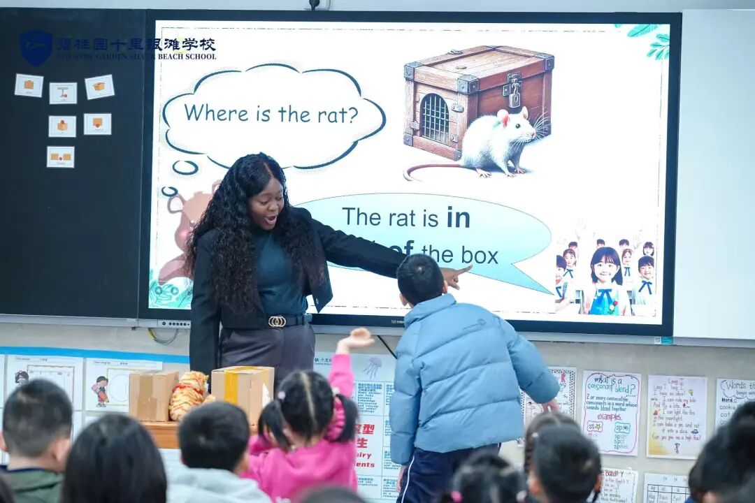 12年一贯制、双轨升学、高性价比学费！惠州这所学校开启2026春招！