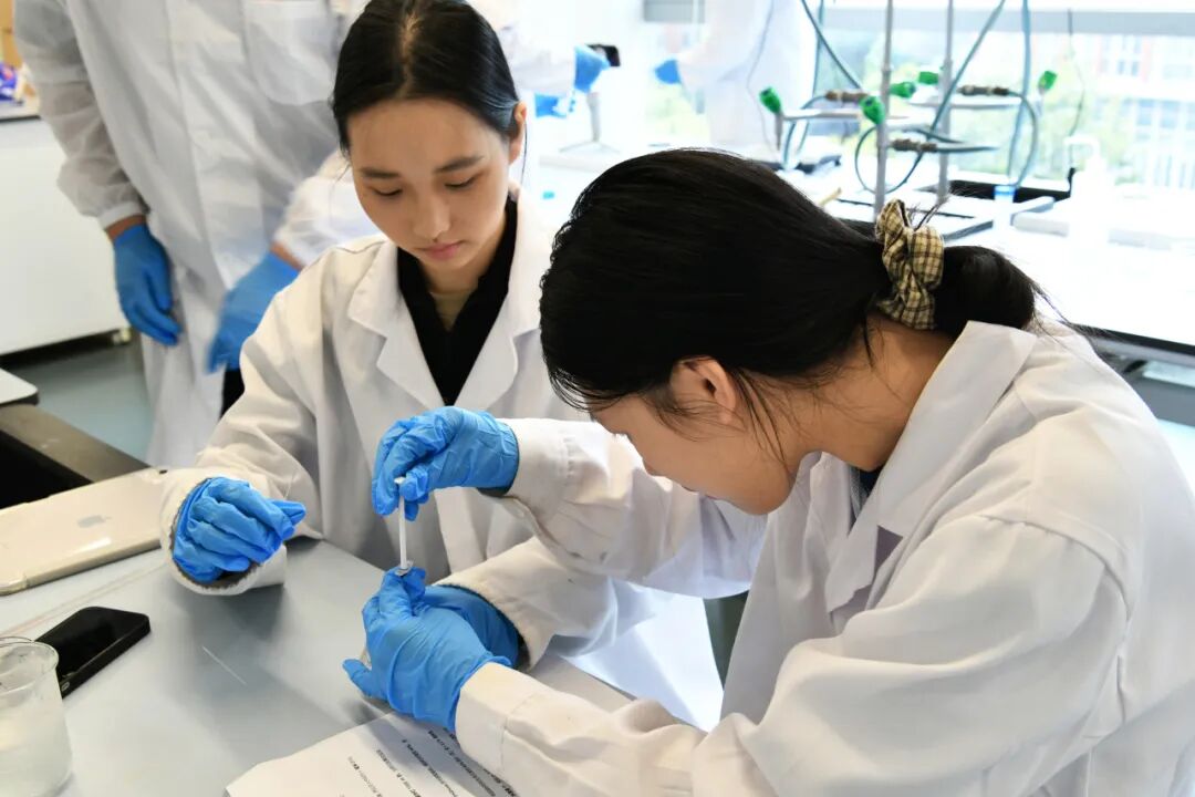 圣华紫竹2026学年校园开放日（3月29日）