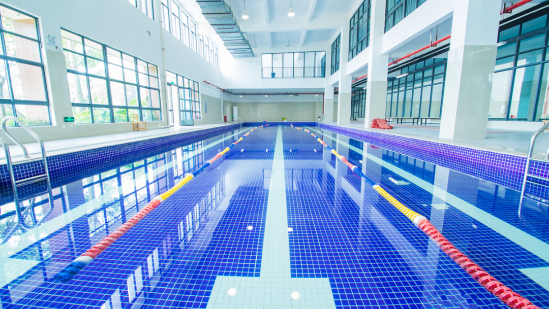 12年一贯制、双轨升学、高性价比学费！惠州这所学校开启2026春招！