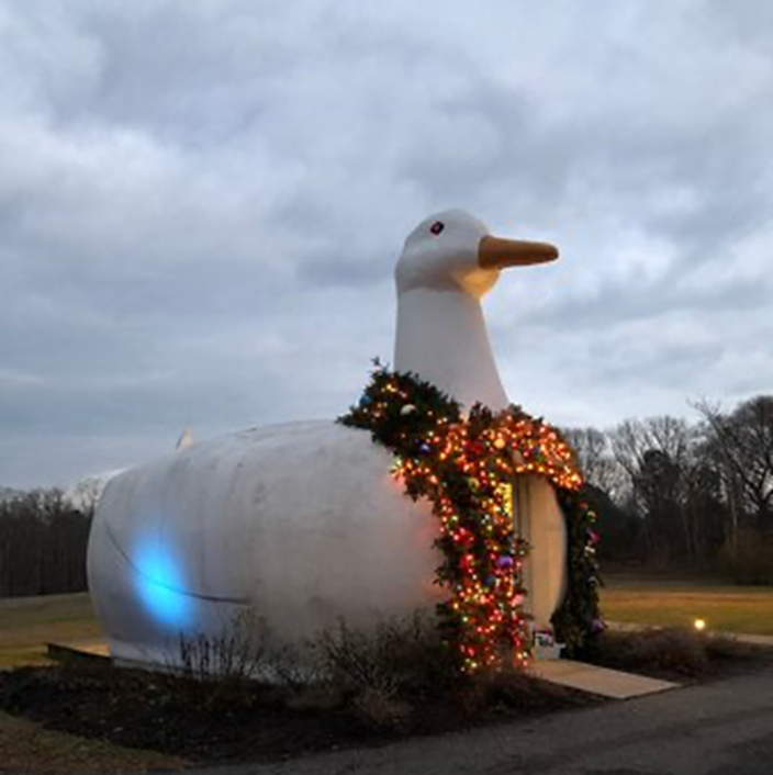 像老钱一样去度假并上夏校-长岛篇