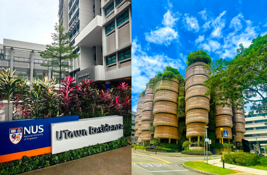 汇总｜DSE 可以申请哪些海外大学？一文说清【申请条件 + 流程】