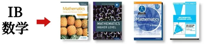 HL还是SL？AI还是AA？这篇IB数学选课“劝退/劝进”指南请收好！