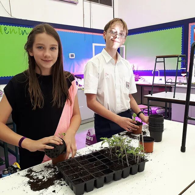 2026/27学年 迪拜学院(Dubai College)入学指南