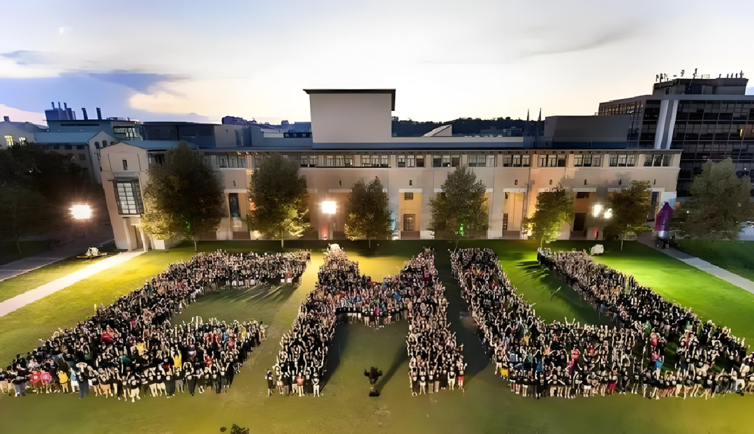 芝大不安全？CMU太卷？UCB人挤人？这些美本名校的“隐藏槽点”，你能接受吗？