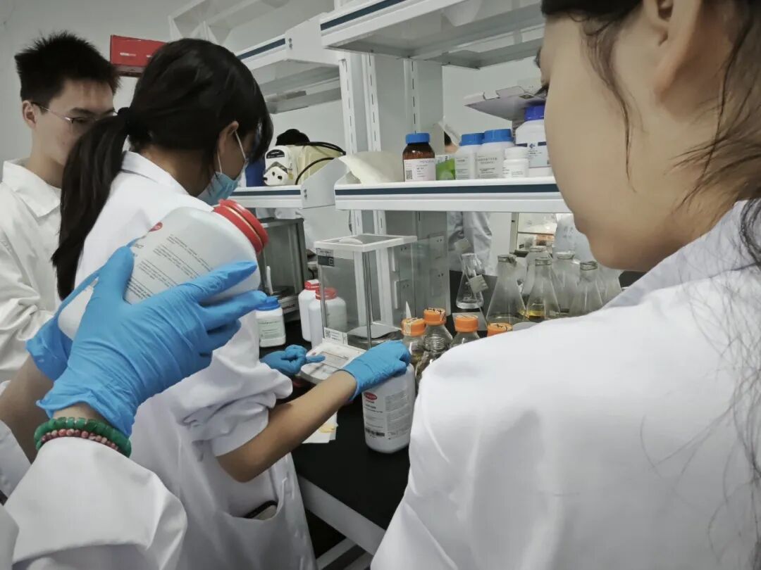 【国际|竞赛】名额有限，报名从速，用iGEM点亮名校之路！