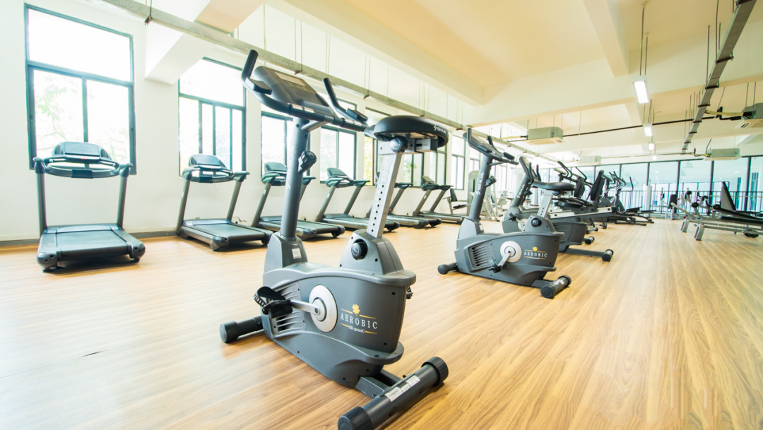 12年一贯制、双轨升学、高性价比学费！惠州这所学校开启2026春招！