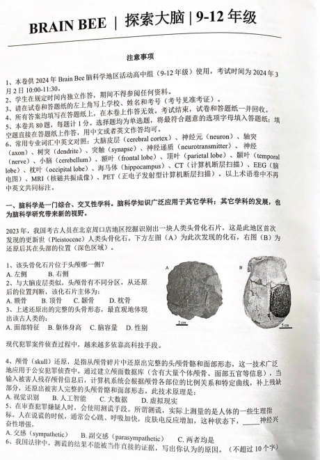 下月开赛！BrainBee地区赛考前20课时冲刺，考点全覆盖稳拿分