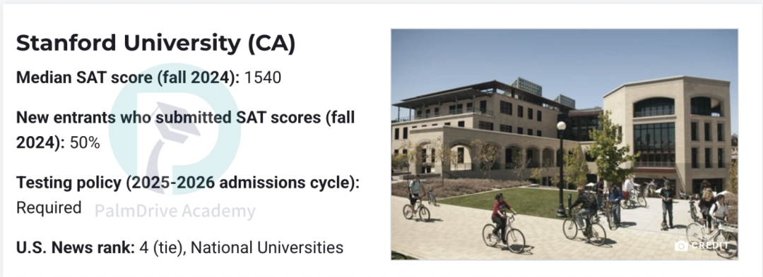 11年级家长必看！申请前最后冲刺窗口期，如何帮娃精准发力？