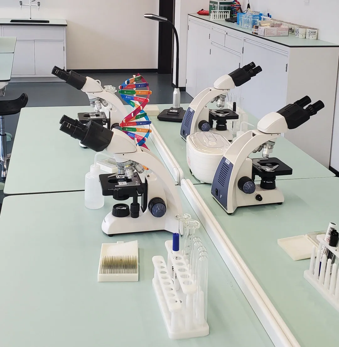 上海闵行国际学校|圣华紫竹学院2026秋招首场开放日报名，涵盖A- level、AP、日高EJU等课程！