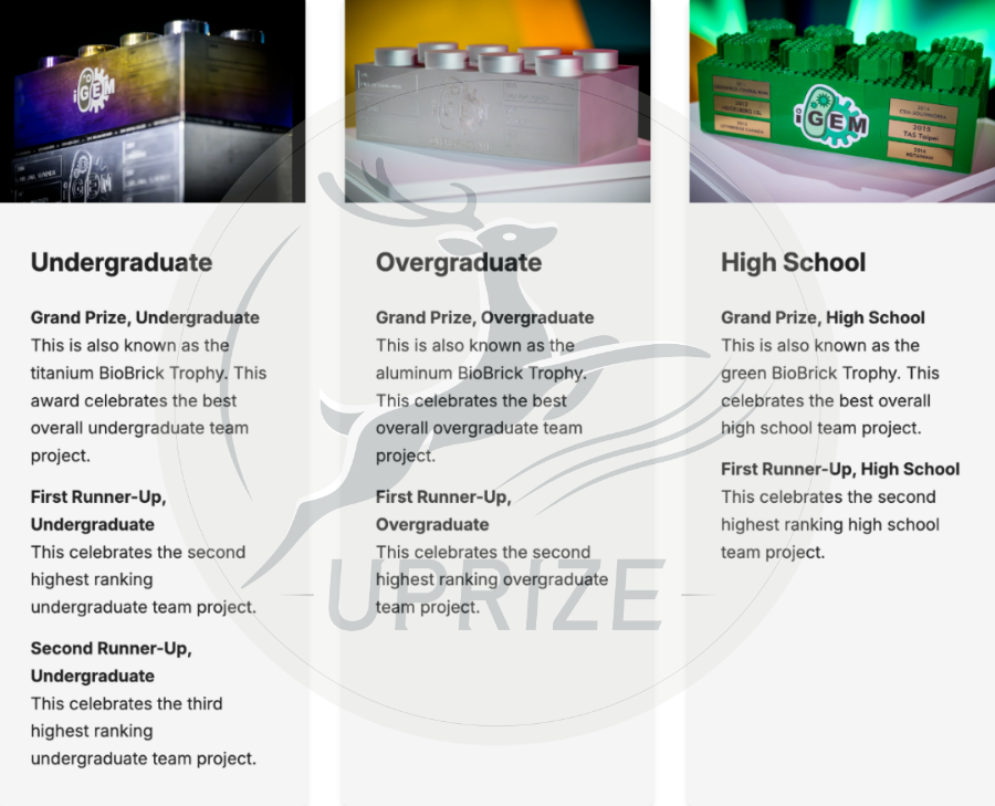 备赛iGEM之前，你必须先搞懂iGEM奖项体系！