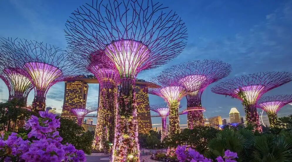 新加坡国立大学经济学硕士（ME）申请指南