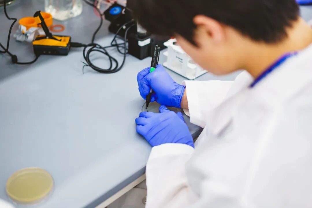 曾被吐槽 “天坑” 的生物学，如今正在悄悄翻红！下一个风口就是它！