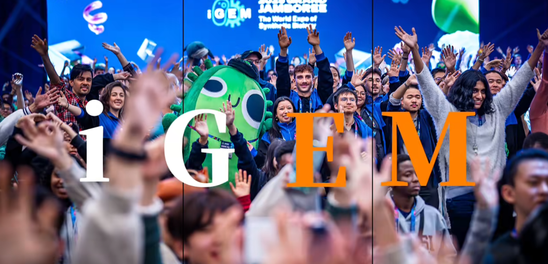 【国际|竞赛】名额有限，报名从速，用iGEM点亮名校之路！