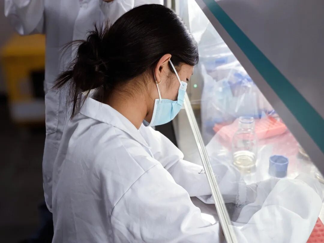 为什么iGEM是最值得关注的“全能型赛事”,它究竟在比什么? 为什么iGEM是最值得关注的“全能型赛事”,它究竟在比什么?