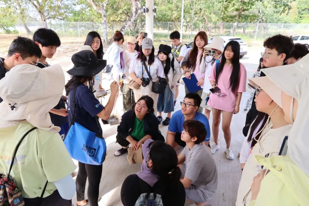 【已成团】兰卡威：登上马来西亚海岛，参与野生海豚一线保护工作!