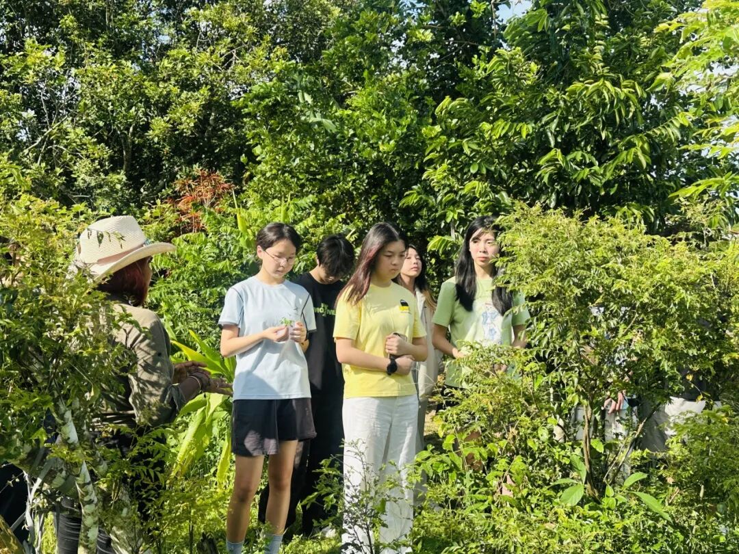 【已成团】兰卡威：登上马来西亚海岛，参与野生海豚一线保护工作!