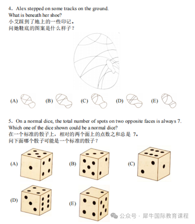 2026年袋鼠竞赛保姆级报名流程攻略！冲刺阶段请这样备考（附袋鼠竞赛历年真题）~