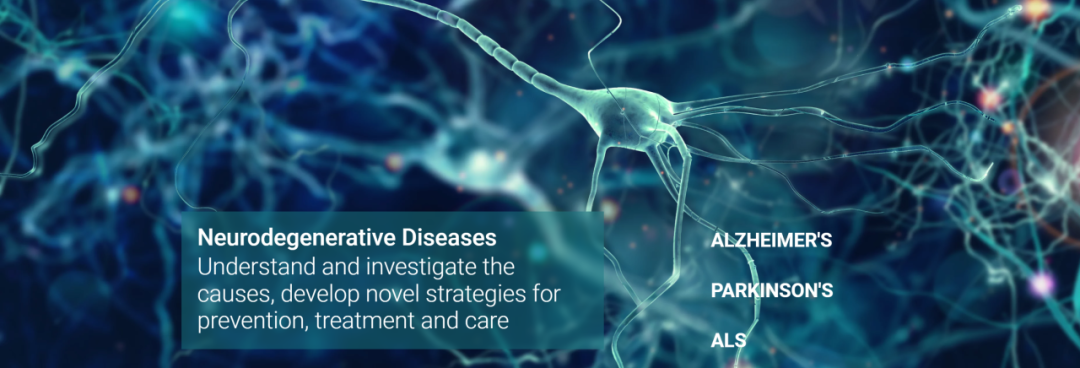 又一篇 Nature 出自这里！慕尼黑大学的生物医学，到底强在哪？