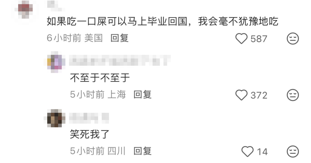 留子有“一生英伦情”为啥没有“一生美国情”？