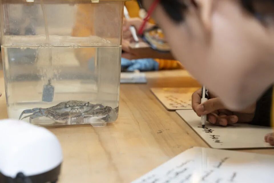 想冲击 ISEF？从这些核心特质入手，判断你是否真的适合ISEF这项顶级科研竞赛