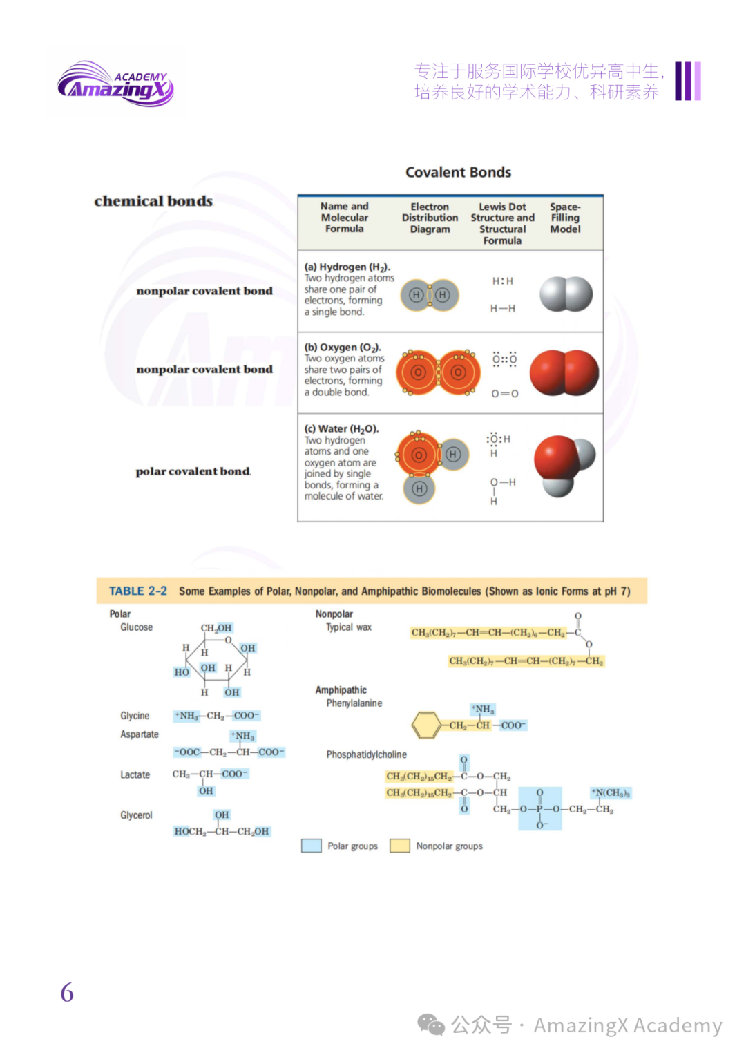 【收藏】2026年USABO生物竞赛超全冲奖备战指南:一篇搞定所有信息+备考方案! 【收藏】2026年USABO生物竞赛超全冲奖备战指南:一篇搞定所有信息+备考方案!