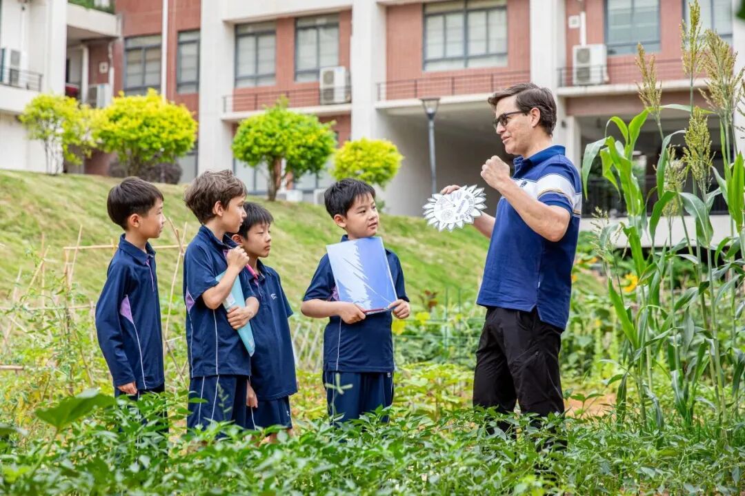 12年一贯制、双轨升学、高性价比学费！惠州这所学校开启2026春招！