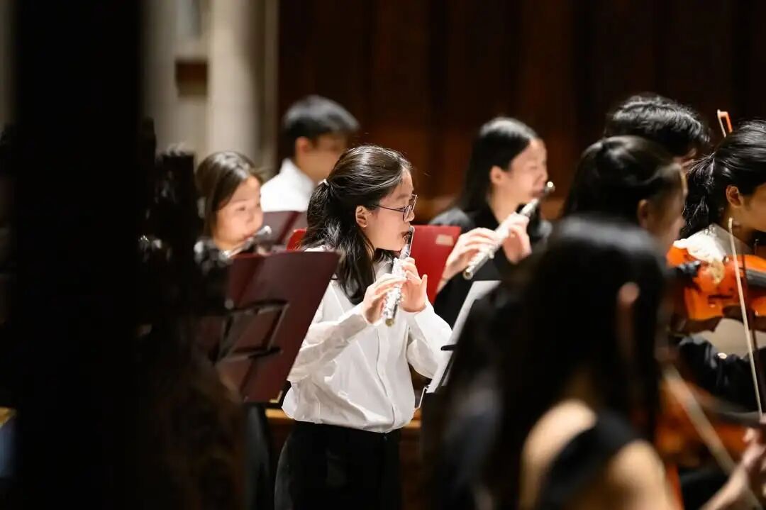 美高陆高“名校命中率”冰火两重天？盘点早申放榜后的「申请池」真相！