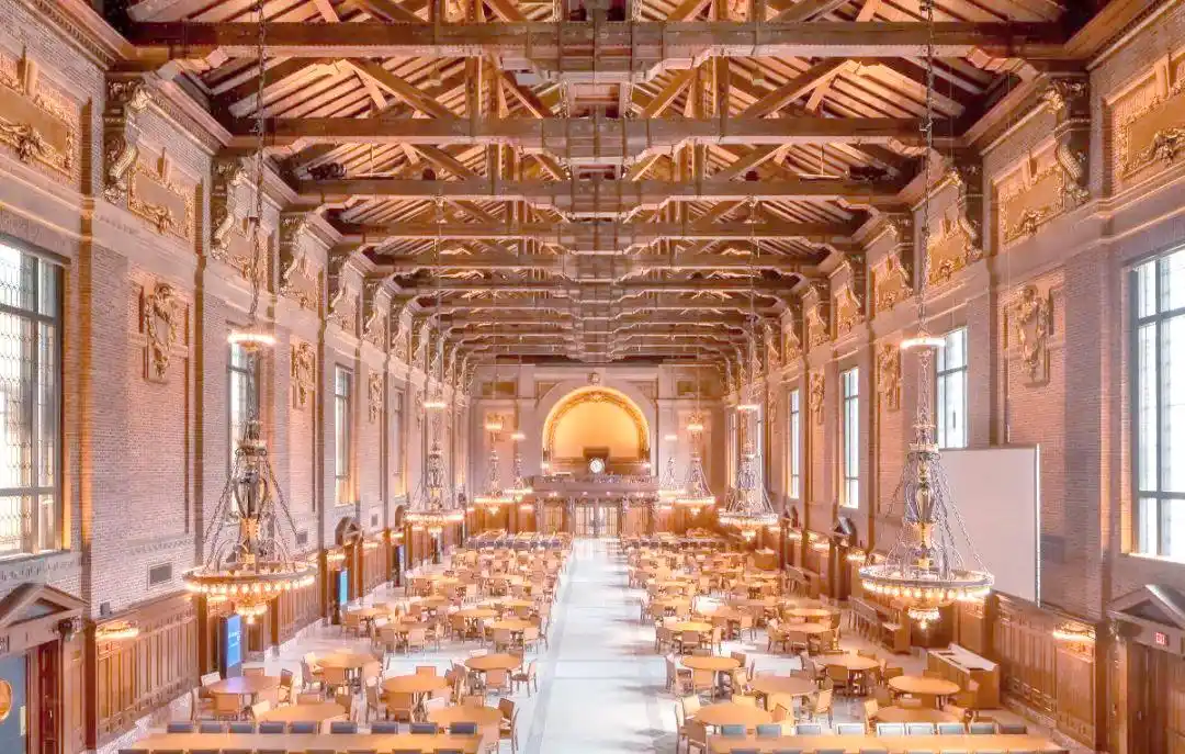 一文读懂艺术爬藤：底层逻辑、适配人群与藤校专业