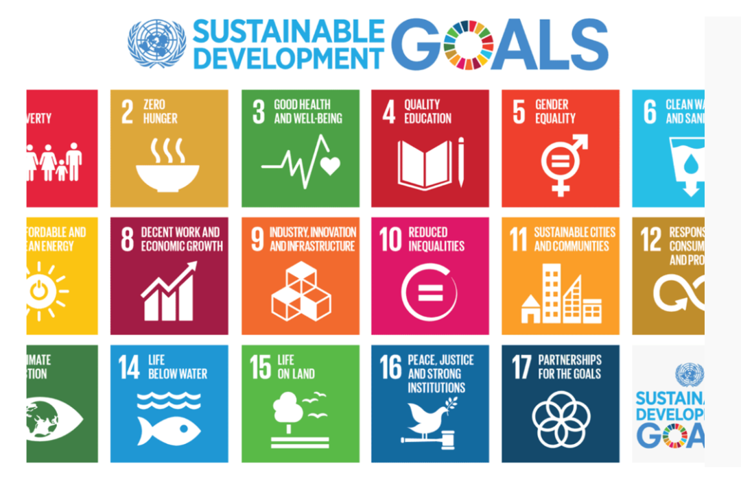 关于TSL（国际可持续发展论文赛），我想和你聊聊心里话