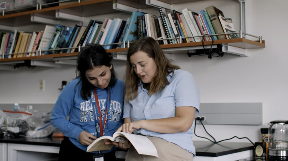 2026｜高含金量爬藤项目、SIP暑期科学夏校项目，申请倒计时！