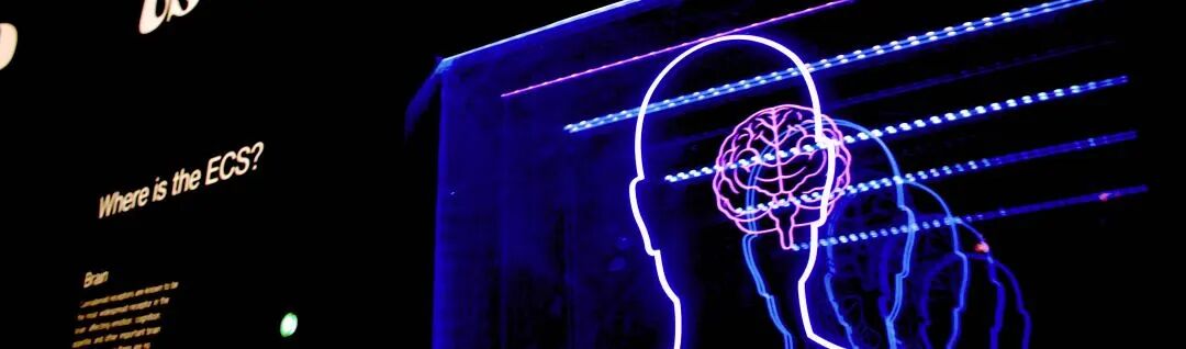 【牛津夏校】BPO学员专访:我在夏校设计心理学实验 【牛津夏校】BPO学员专访:我在夏校设计心理学实验