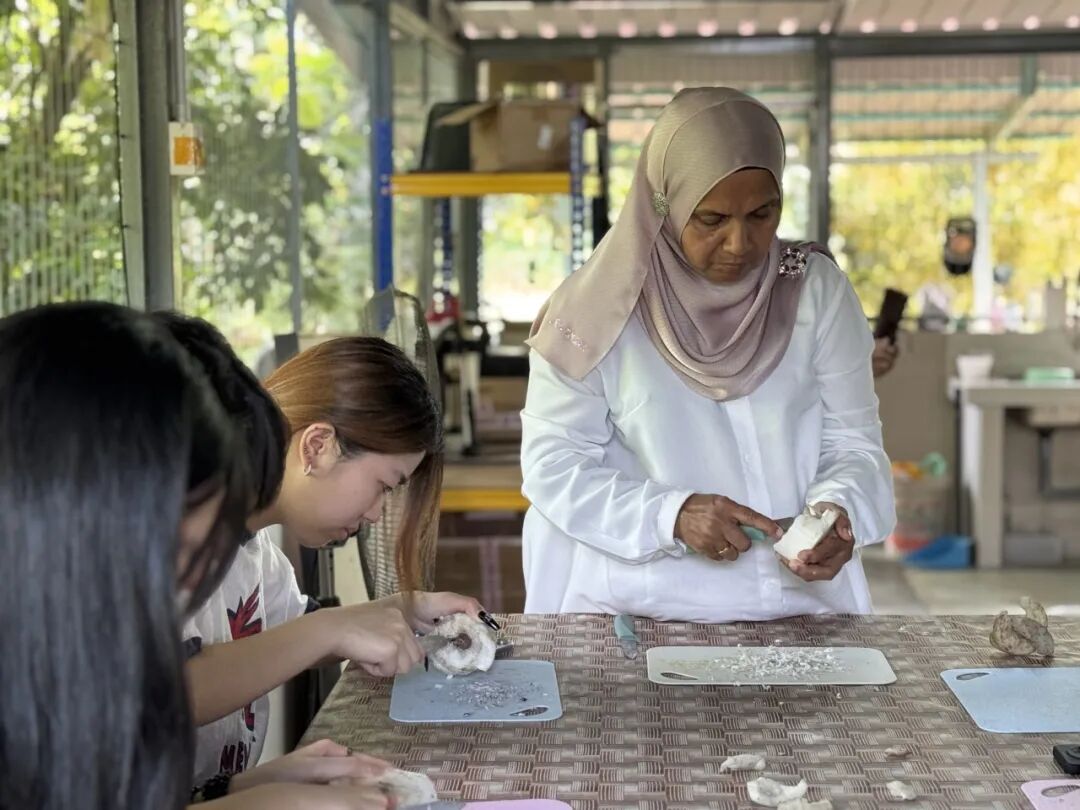 【已成团】兰卡威：登上马来西亚海岛，参与野生海豚一线保护工作!