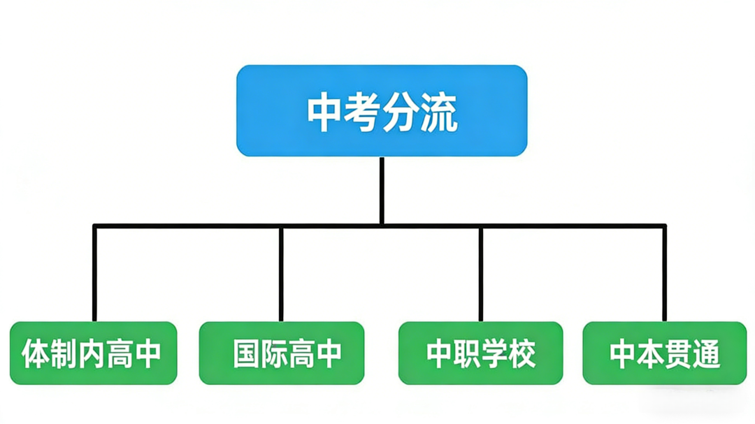上海新中考风向标解读：改革之下，孩子如何稳握未来？