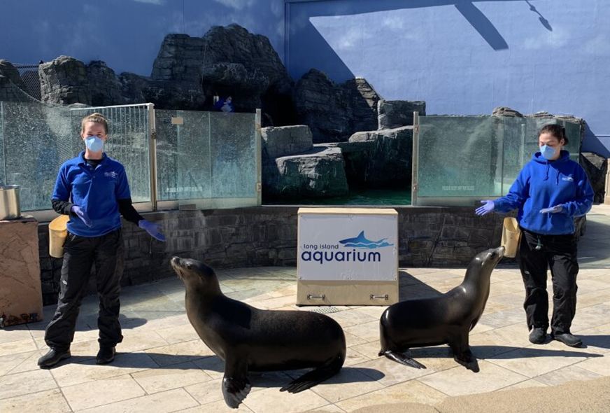 像老钱一样去度假并上夏校-长岛篇