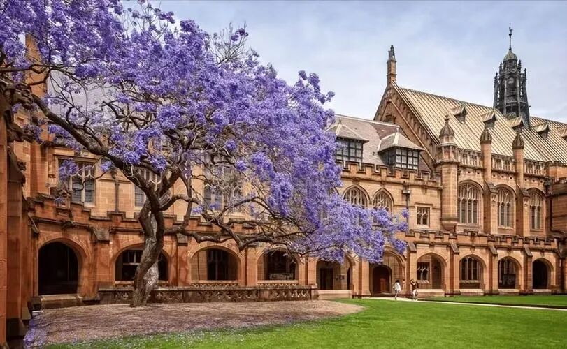 悉尼大学本科申请全解：成绩要求+热门专业培养框架