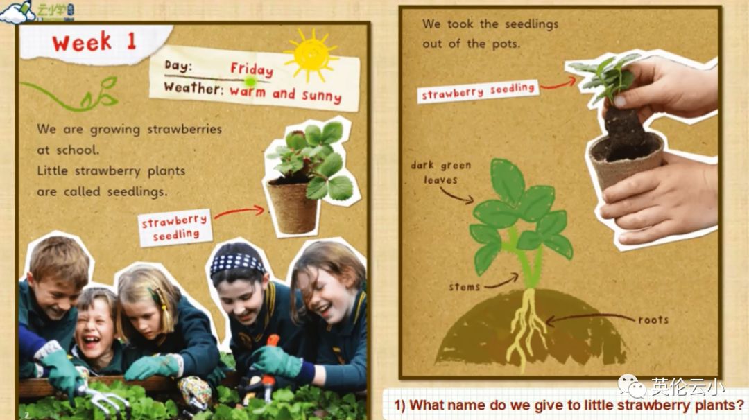 小初阶段国际学生的非虚构写作（Nonfiction Writing）为什么难、怎么突破？