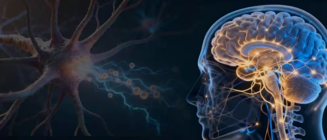 26暑期 | 英国剑桥大学 格顿学院专业课访学季